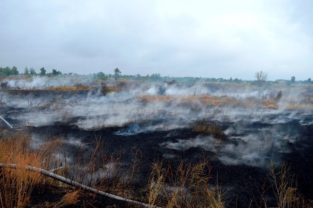 Пожар на полях фильтрации Барановичского района