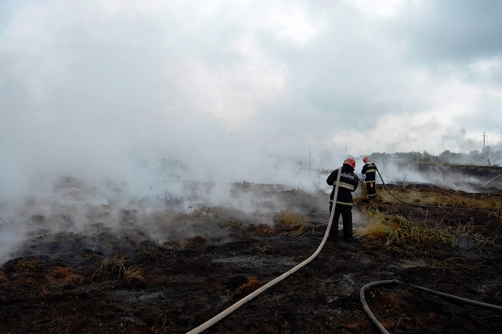 Пожар на полях фильтрации Барановичского района