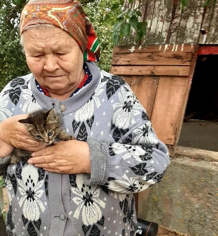 Котенок в колодце Барановичский район