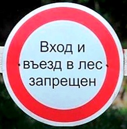 Запрет на посещение лесов в Барановичском районе