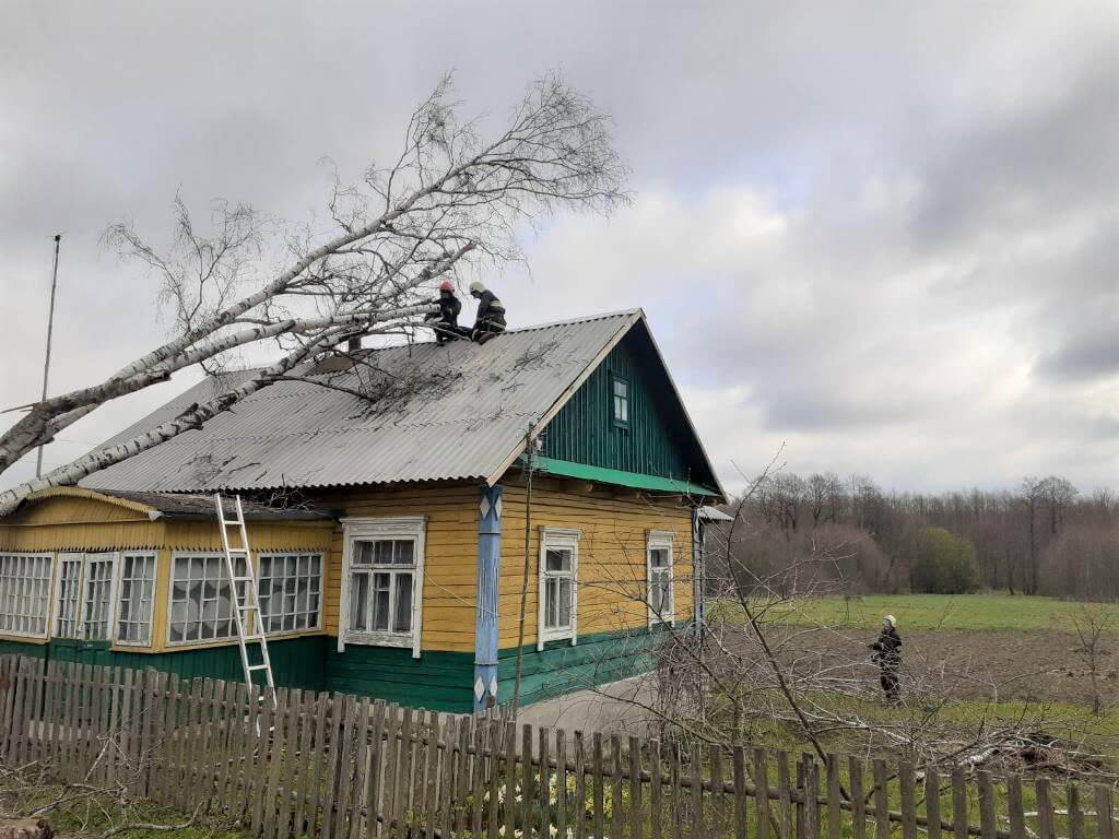 Барановичский ГРОЧС: упало дерево на крышу дома д. Поручин Барановичского  района