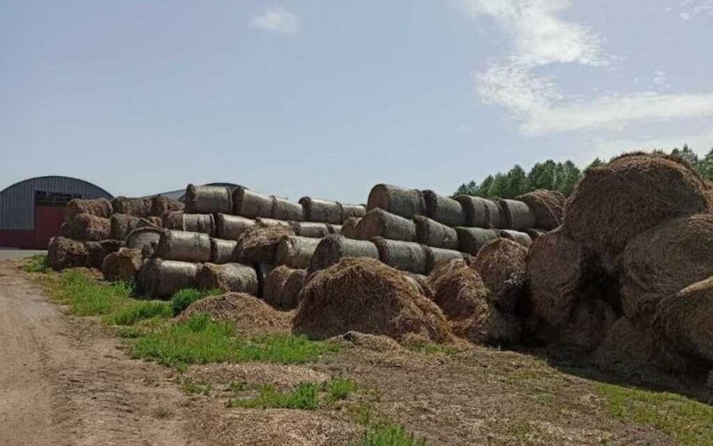 Деревня Столовичи Барановичский район