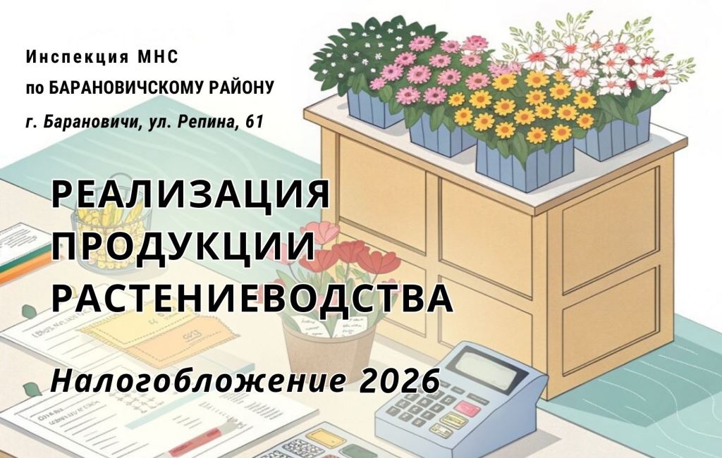 Реализация цветов ИМНС Барановичского района