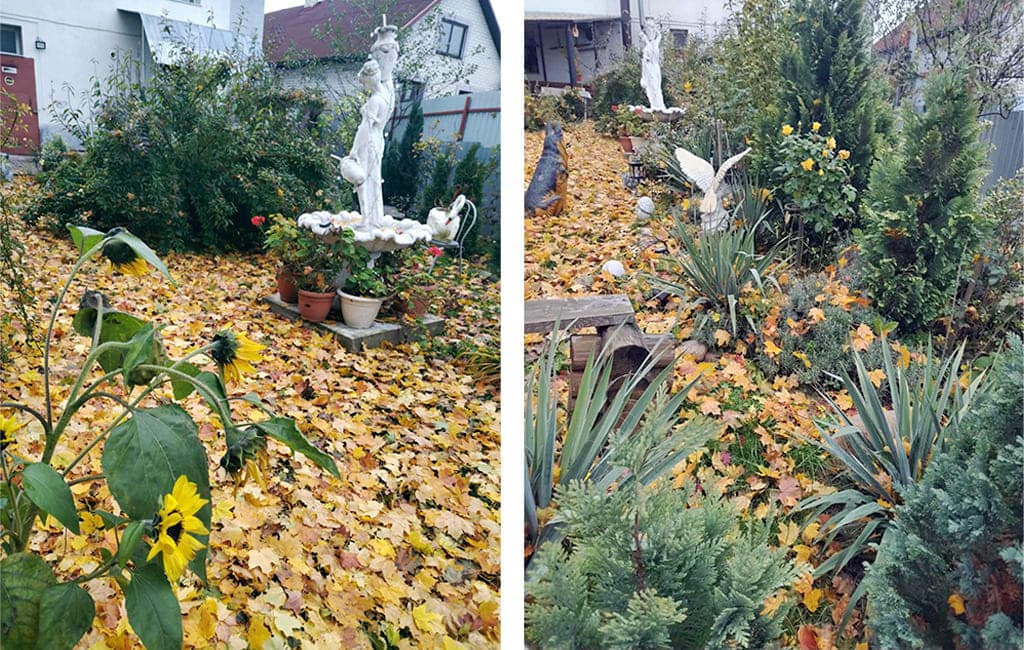 Осенний отдых за городом Барановичи Дом торжеств Мышанка