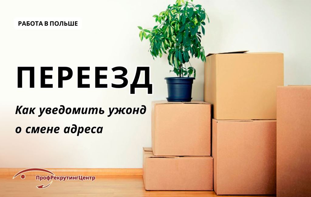 Как написать письмо и уведомить ужонд о смене адреса в Польше Профрекрутингцентр